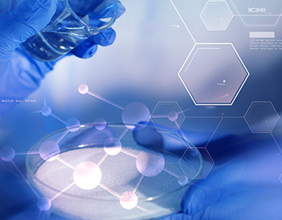 山東陽(yáng)成生物科技