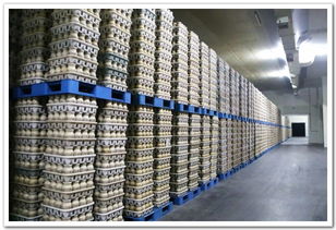 投入真金白銀 帶動產興業(yè)旺