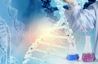 蘇州瑞安生物科技致力于我國(guó)生物醫(yī)藥