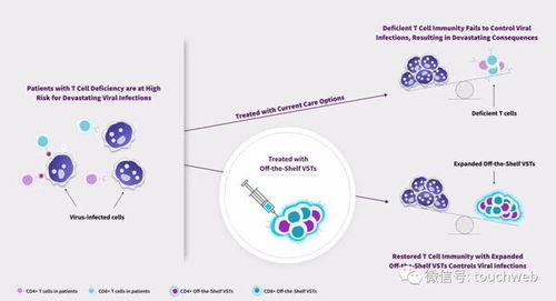 生物科技公司allovir美國(guó)上市 漲49 市值15.5億美元